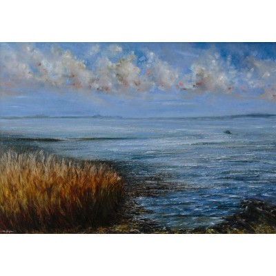 Burrow Rosslare Strand  Burrow Rosslare Strand