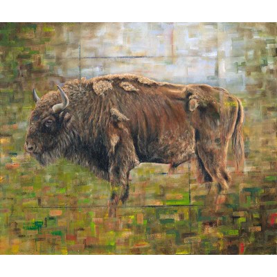 Bison Bison
